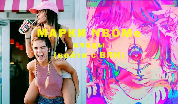 дмт Бородино
