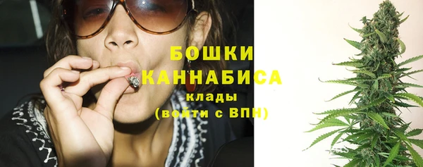 дмт Бородино