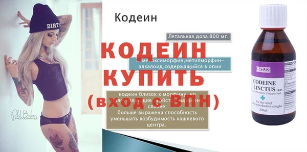 дмт Бородино
