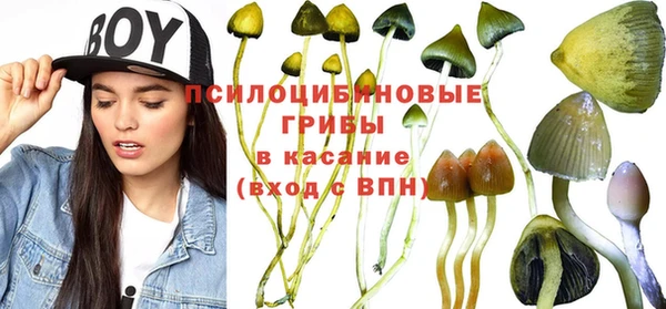 прущая мука Бугульма