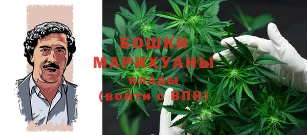 дмт Бородино