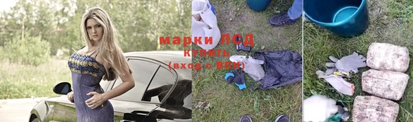 дмт Бородино