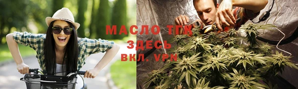 дмт Бородино