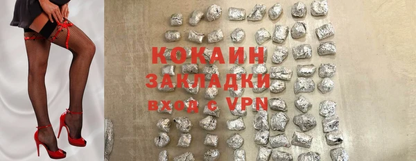 дмт Бородино