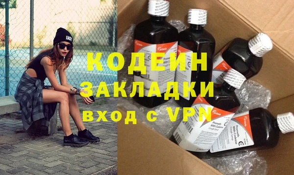 дмт Бородино