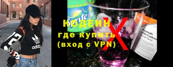 дмт Бородино