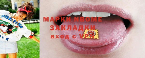 дмт Бородино